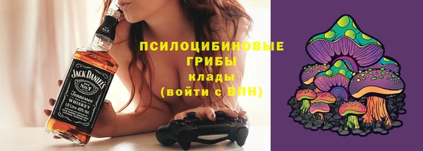 ECSTASY Алзамай