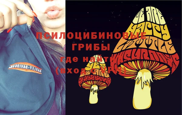 ECSTASY Алзамай